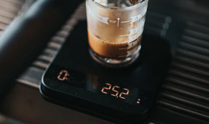 Scales & Timers